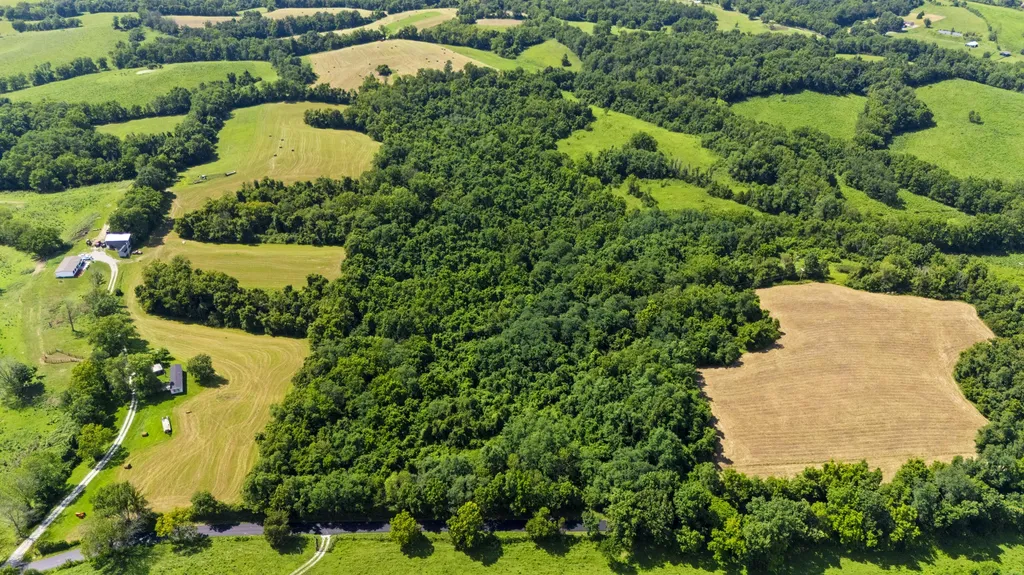 223 Plum Lick Road Paris KY 40361
