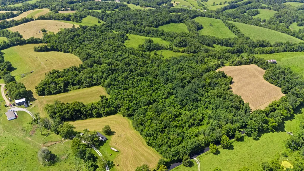 223 Plum Lick Road Paris KY 40361