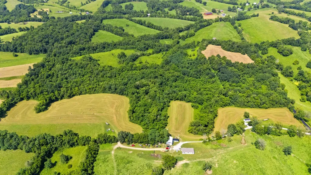 223 Plum Lick Road Paris KY 40361