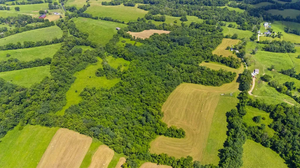 223 Plum Lick Road Paris KY 40361