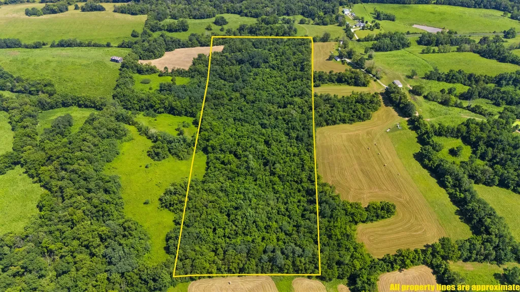 223 Plum Lick Road Paris KY 40361