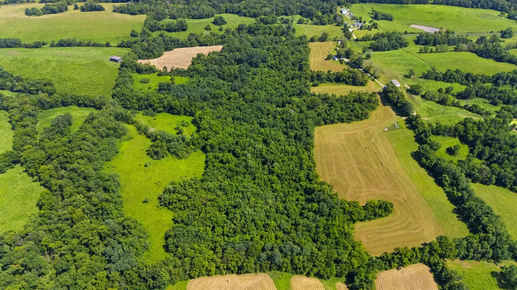 223 Plum Lick Road Paris KY 40361