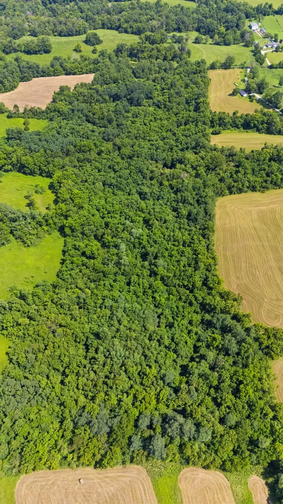 223 Plum Lick Road Paris KY 40361