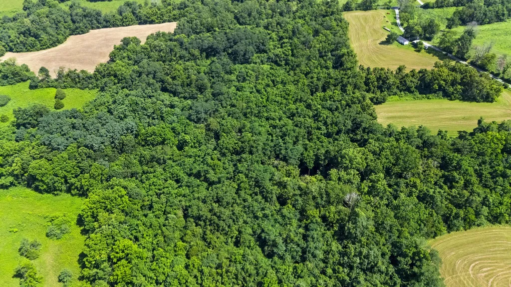223 Plum Lick Road Paris KY 40361