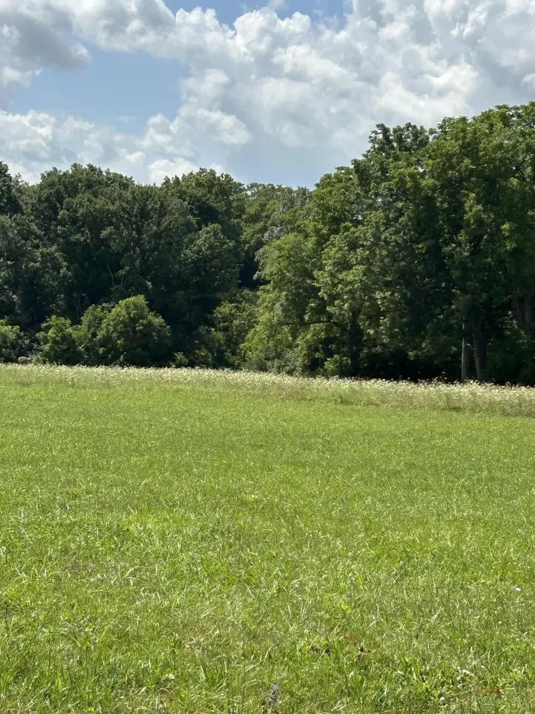 Lucy Lane Lot 3 Lucy Lane Cynthiana KY 41031