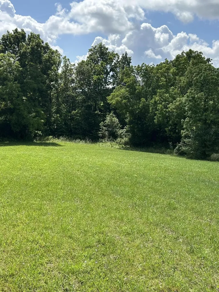 Lucy Lane Lot 3 Lucy Lane Cynthiana KY 41031