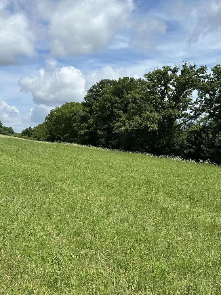 Lucy Lane Lot 3 Lucy Lane Cynthiana KY 41031
