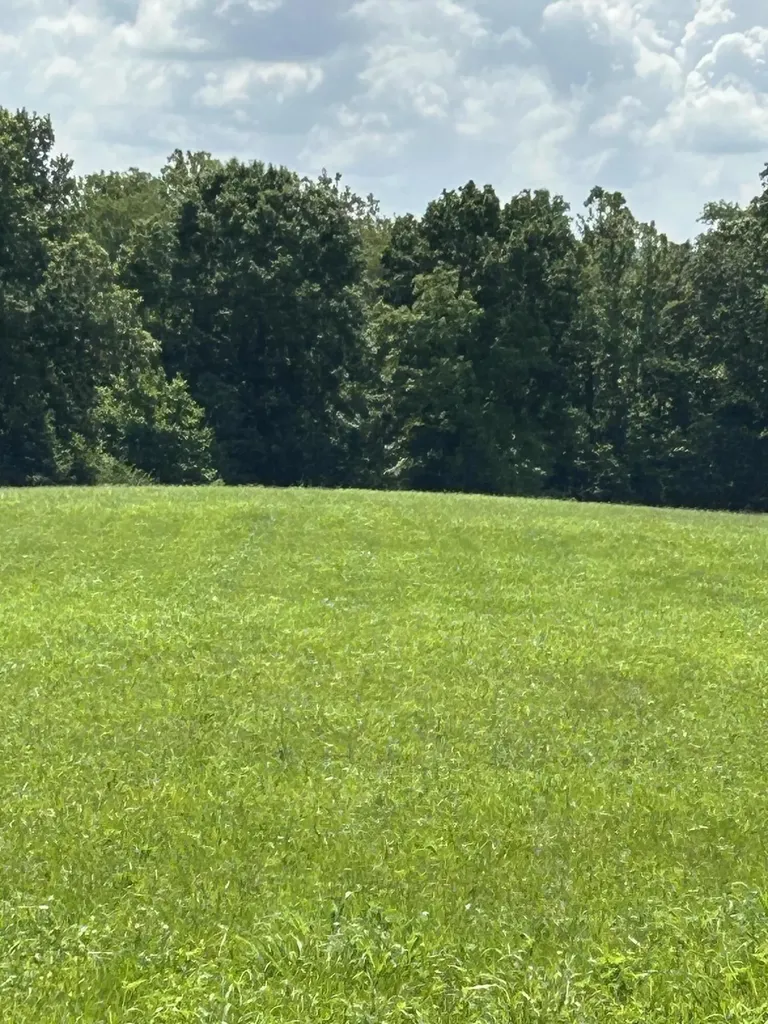 Lucy Lane Lot 3 Lucy Lane Cynthiana KY 41031