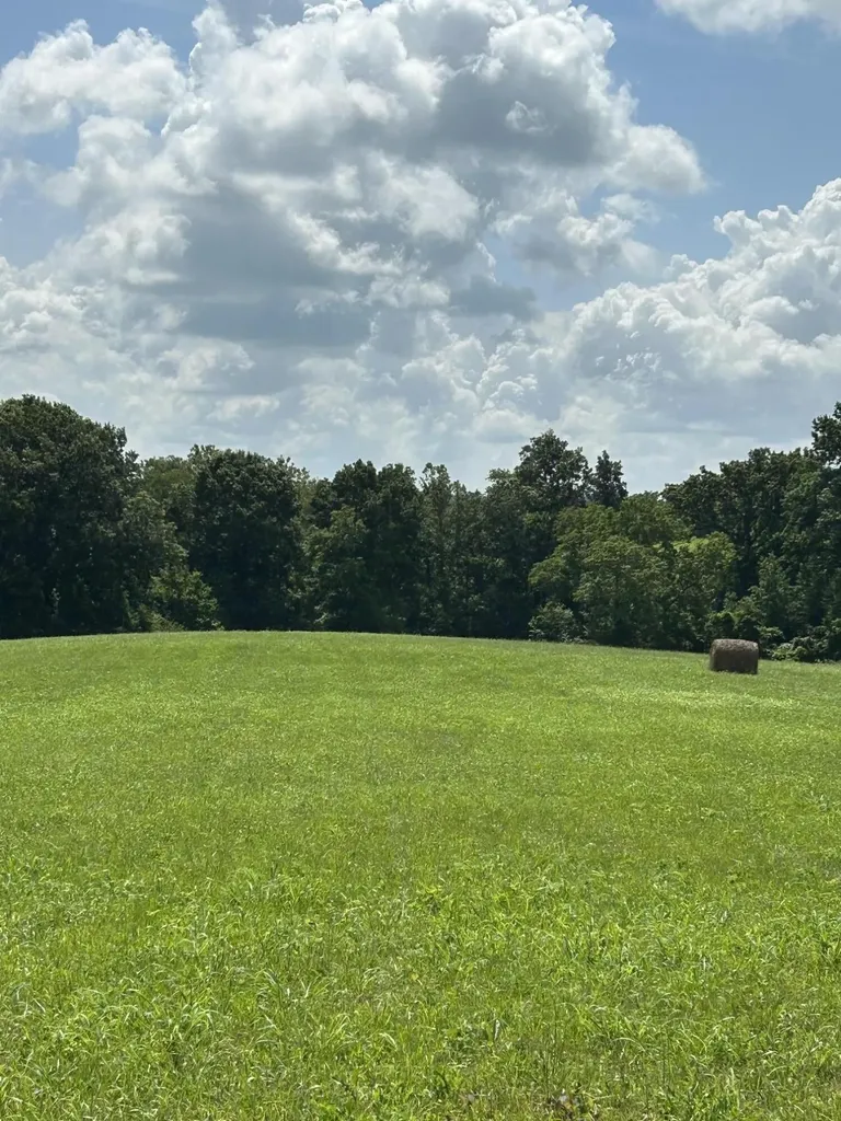 Lot #2 Lucy Lane Cynthiana KY 41031