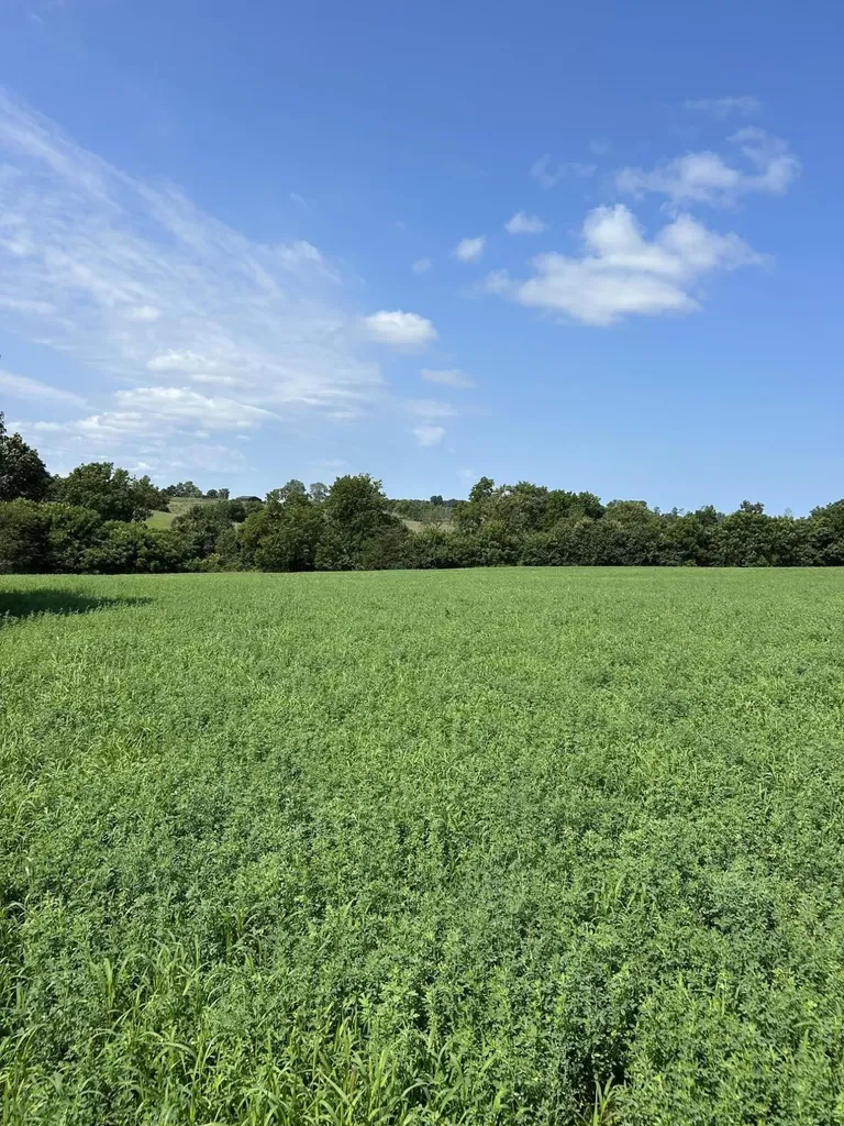 Lot #2 Lucy Lane Cynthiana KY 41031