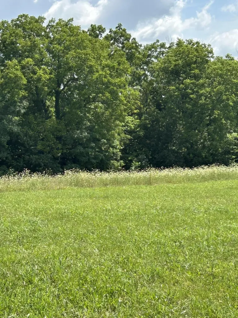 Lot #2 Lucy Lane Cynthiana KY 41031