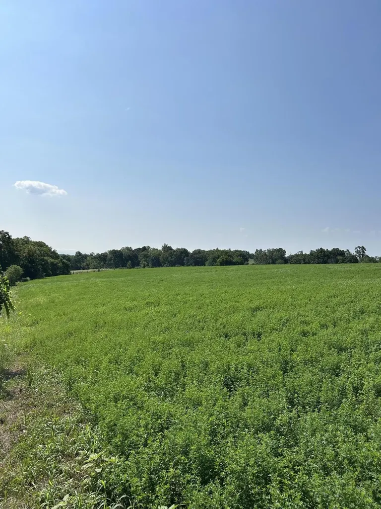 Lot #2 Lucy Lane Cynthiana KY 41031