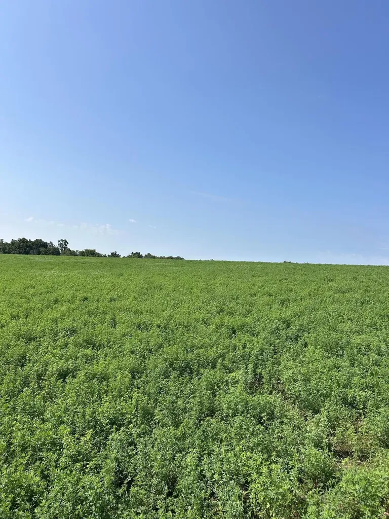 Lot #2 Lucy Lane Cynthiana KY 41031