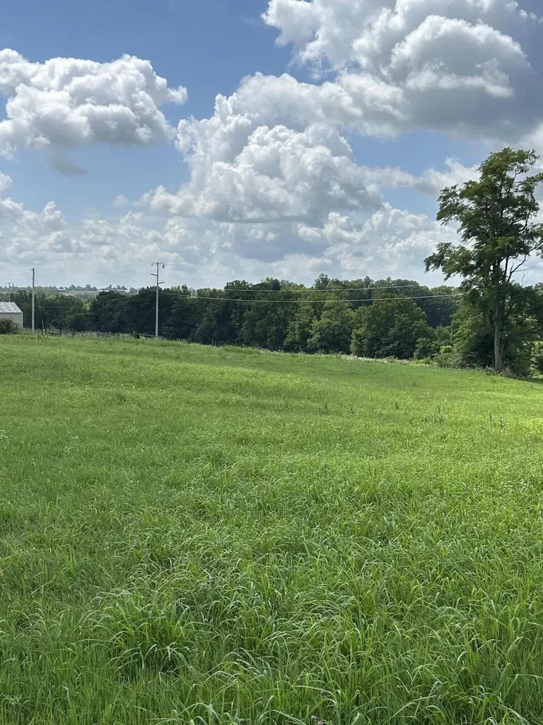 Lot #2 Lucy Lane Cynthiana KY 41031