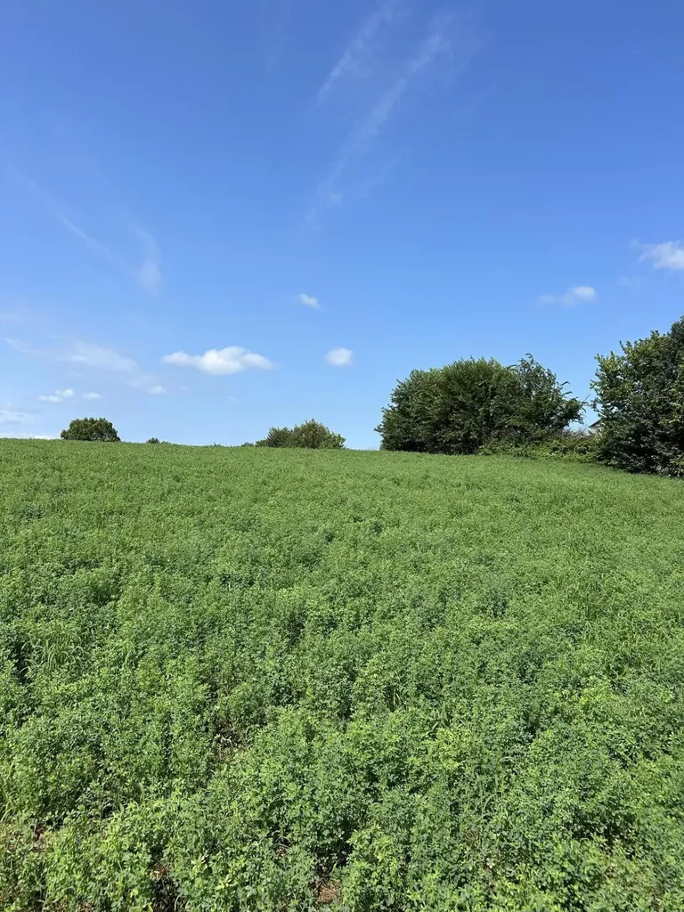 Lot #2 Lucy Lane Cynthiana KY 41031