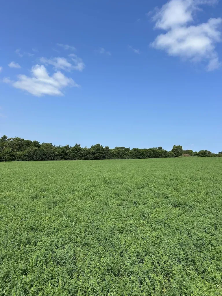 Lot #2 Lucy Lane Cynthiana KY 41031