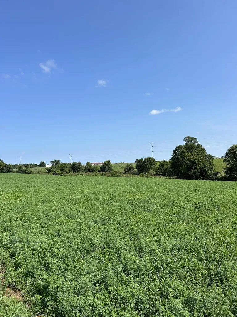 Lot #2 Lucy Lane Cynthiana KY 41031