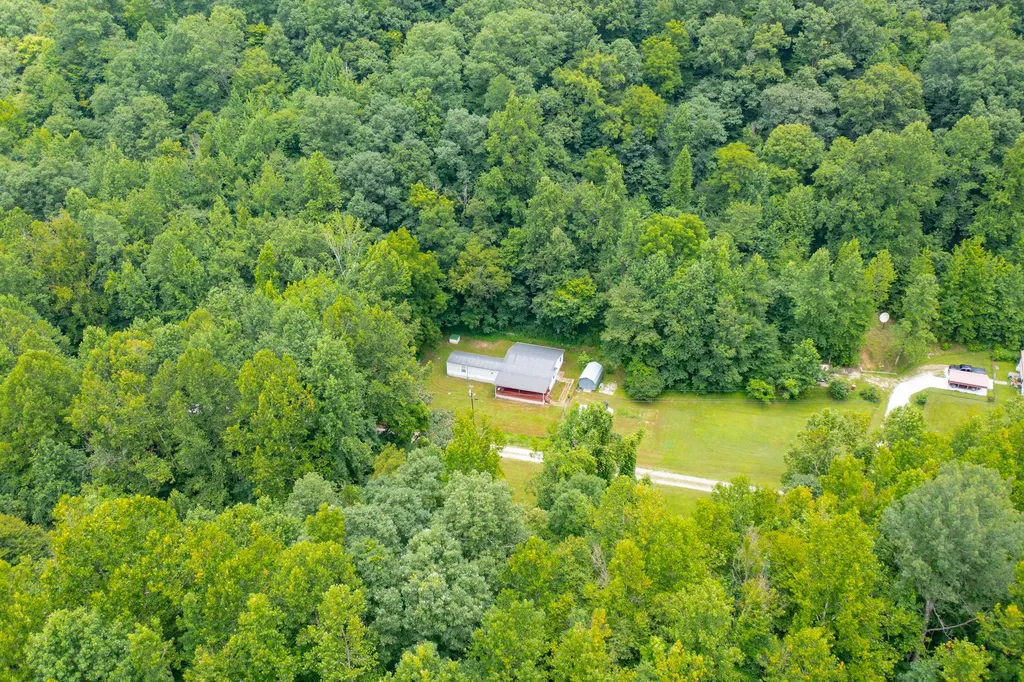 501 Left Fork Moore Creek Road Fourmile KY 40939