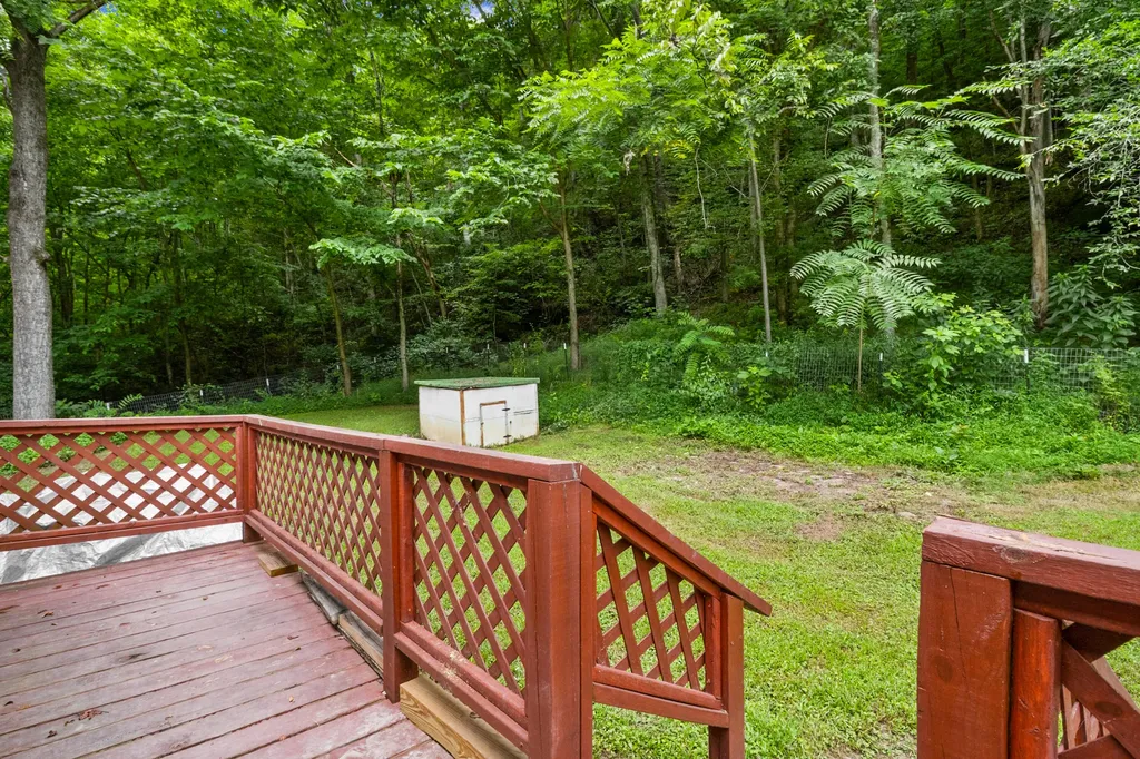 501 Left Fork Moore Creek Road Fourmile KY 40939