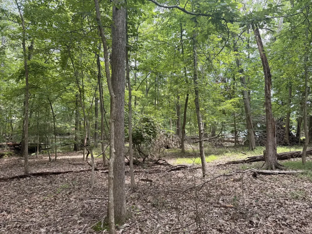 Map #61-0a-01-025 -028 Lakeview Club Road Gilbertsville KY 42044