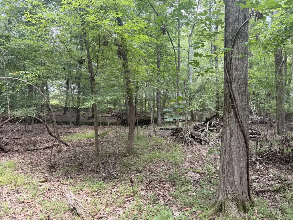 Map #61-0a-01-025 -028 Lakeview Club Road Gilbertsville KY 42044