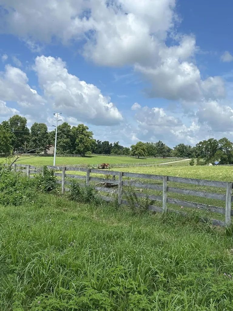 Lot #8 Lucy Cynthiana KY 41031