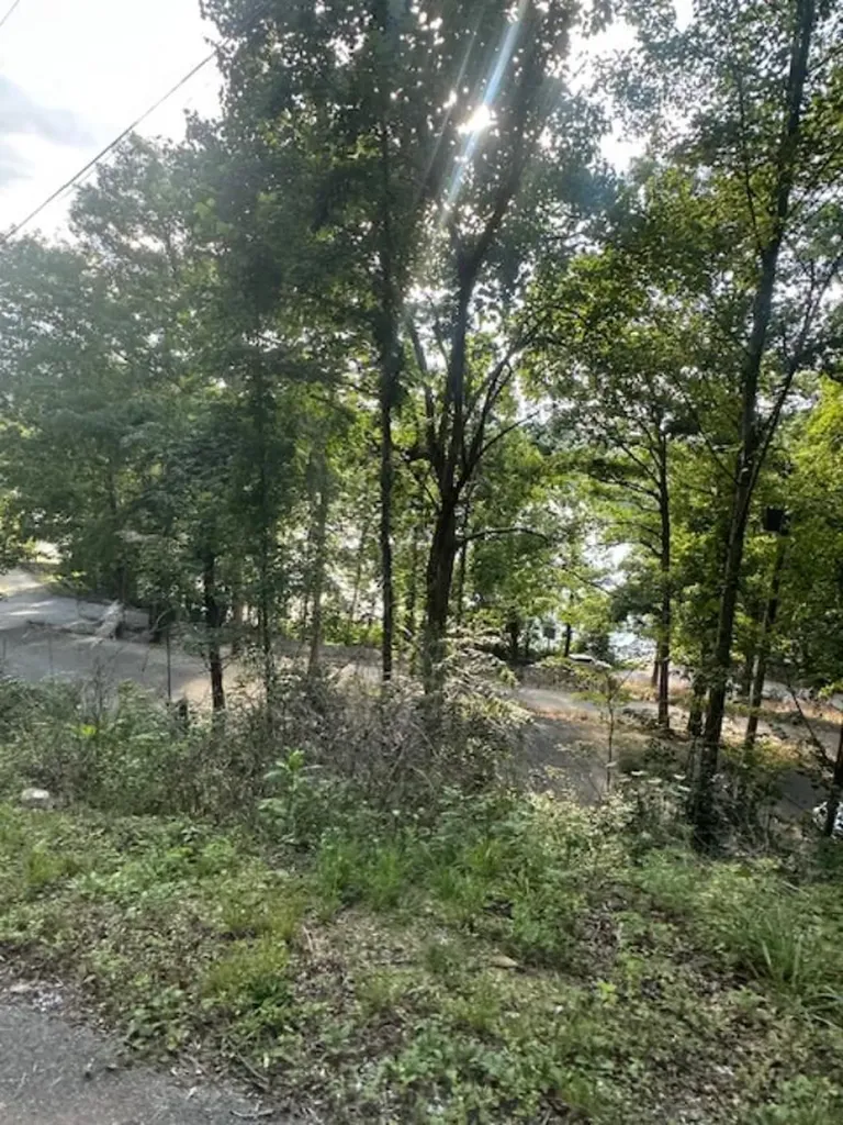 9999 Rocky Branch Road East Bernstadt KY 40729