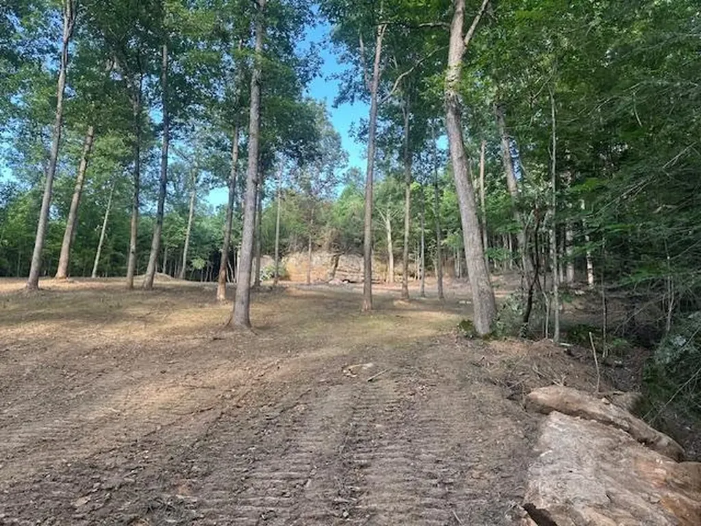 9999 Rocky Branch Road East Bernstadt KY 40729
