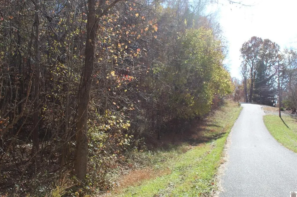 Lot 49 Backstrom Heights Road Eddyville KY 42038