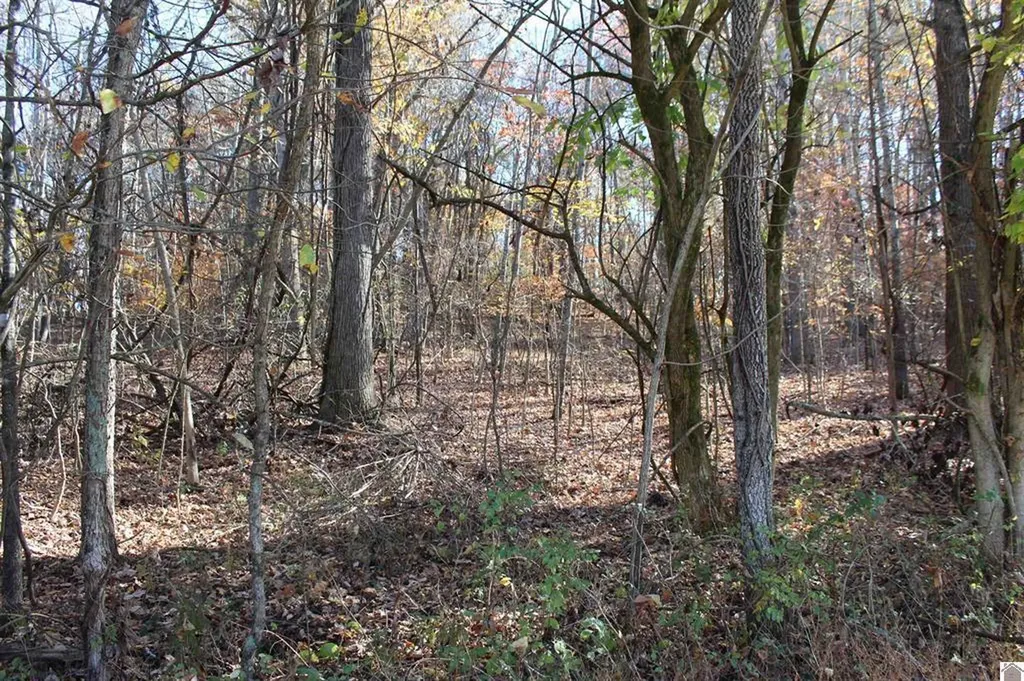 Lot 49 Backstrom Heights Road Eddyville KY 42038