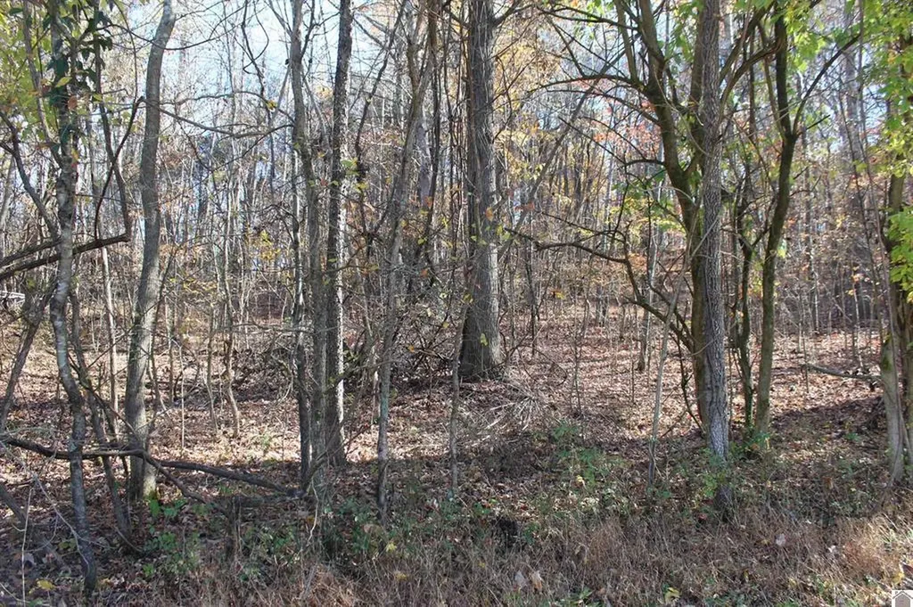 Lot 51 Backstrom Heights Road Eddyville KY 42038