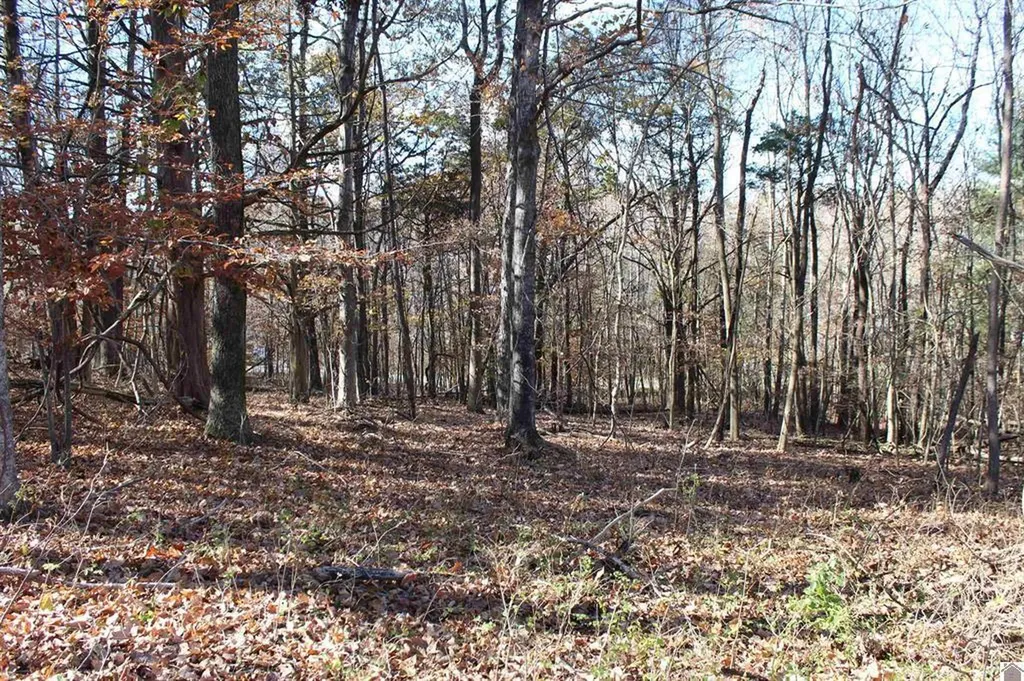 Lot 51 Backstrom Heights Road Eddyville KY 42038