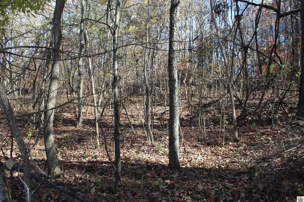Lot 51 Backstrom Heights Road Eddyville KY 42038