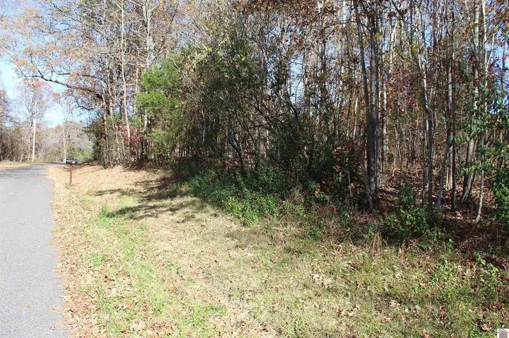 Lot 50 Backstrom Heights Road Eddyville KY 42038