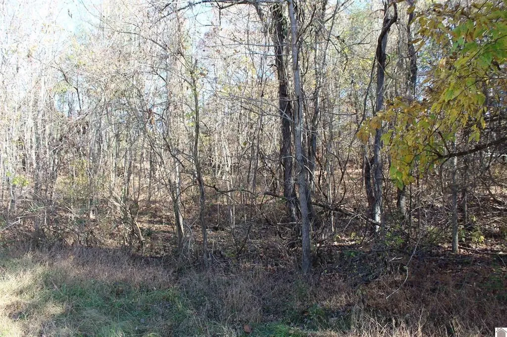 Lot 50 Backstrom Heights Road Eddyville KY 42038