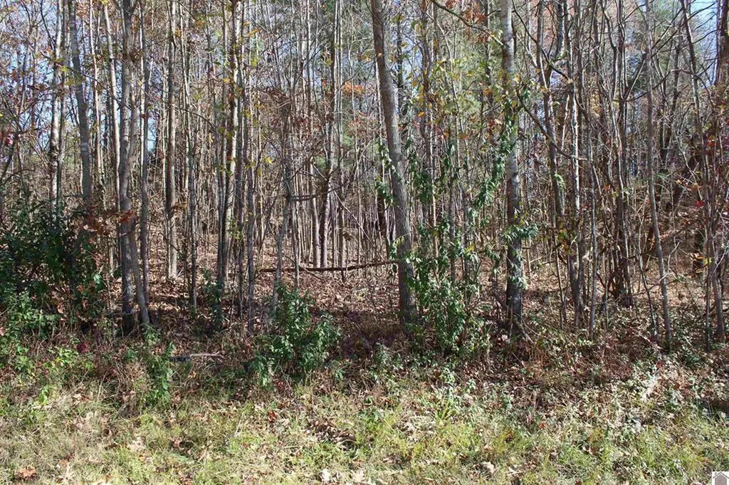 Lot 50 Backstrom Heights Road Eddyville KY 42038