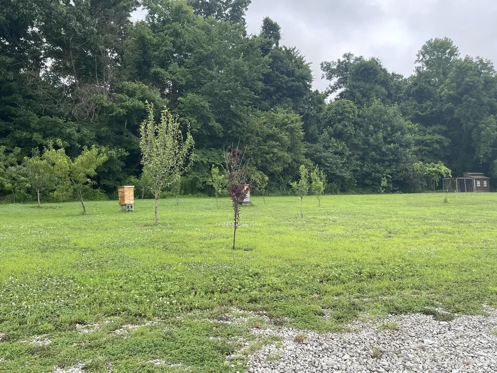 1923 Bush Road Cadiz KY 42211