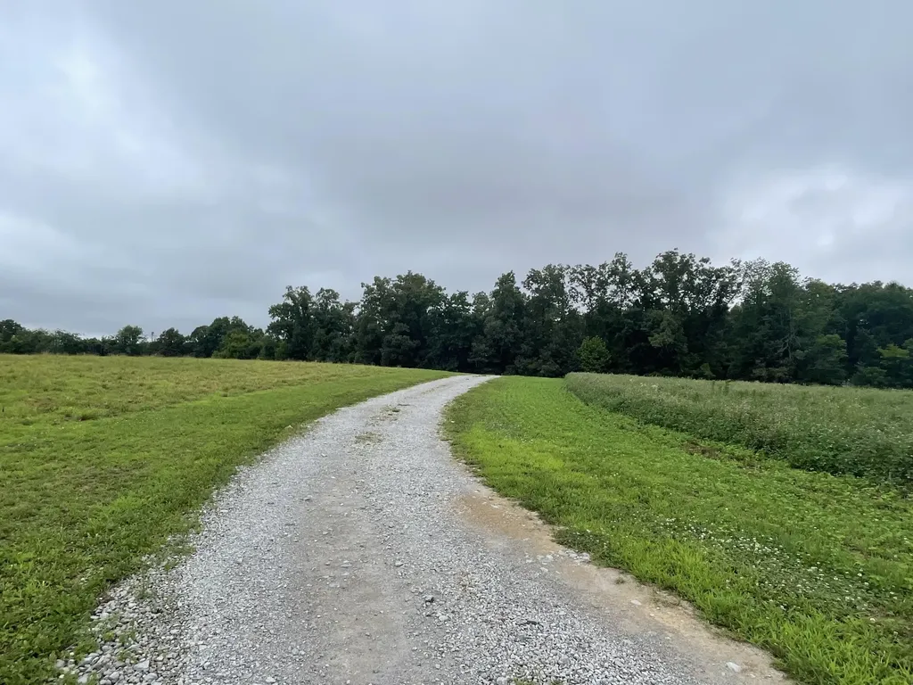 1923 Bush Road Cadiz KY 42211