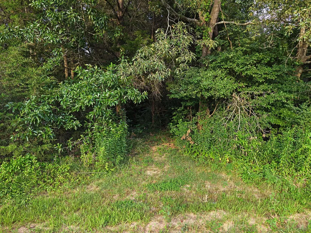 1923 Bush Road Cadiz KY 42211