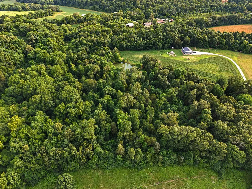 1923 Bush Road Cadiz KY 42211