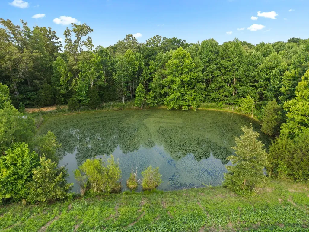 1923 Bush Road Cadiz KY 42211