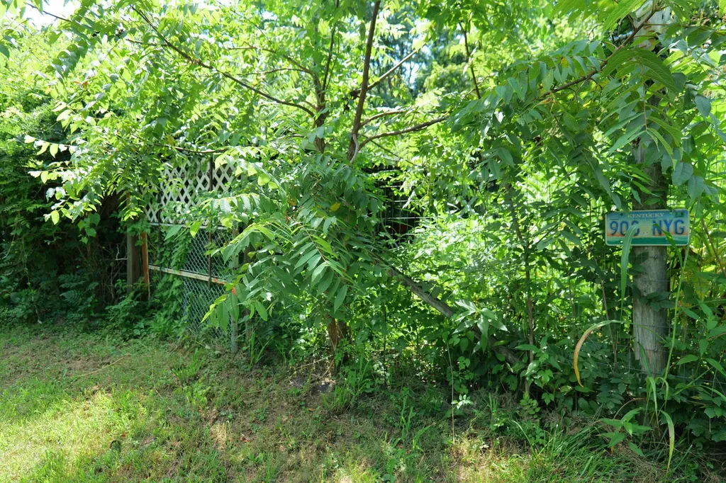 171 Miller Lane Frankfort KY 40601