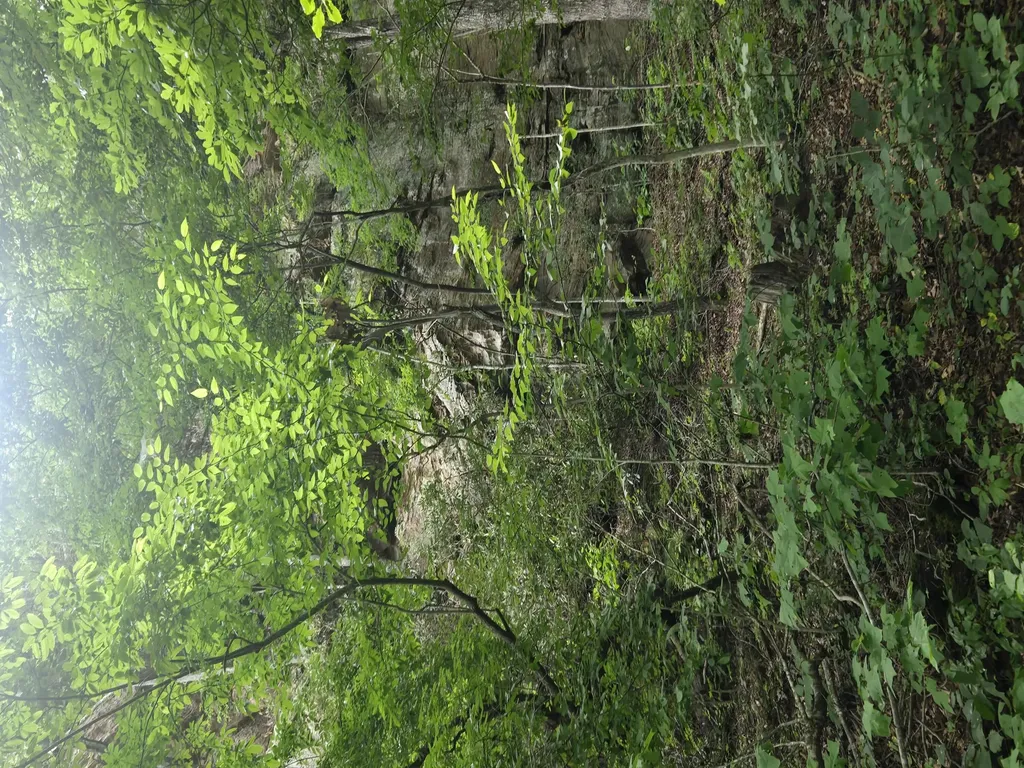 9999 Getaways Road Stanton KY 40380