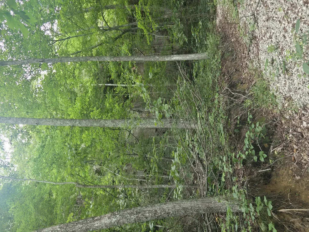 9999 Getaways Road Stanton KY 40380