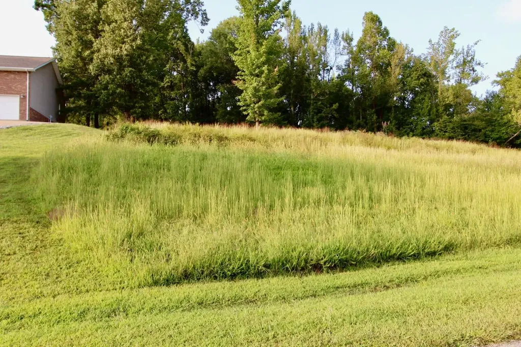 Lot 83 Kelsey Joe Lane Eddyville KY 42038