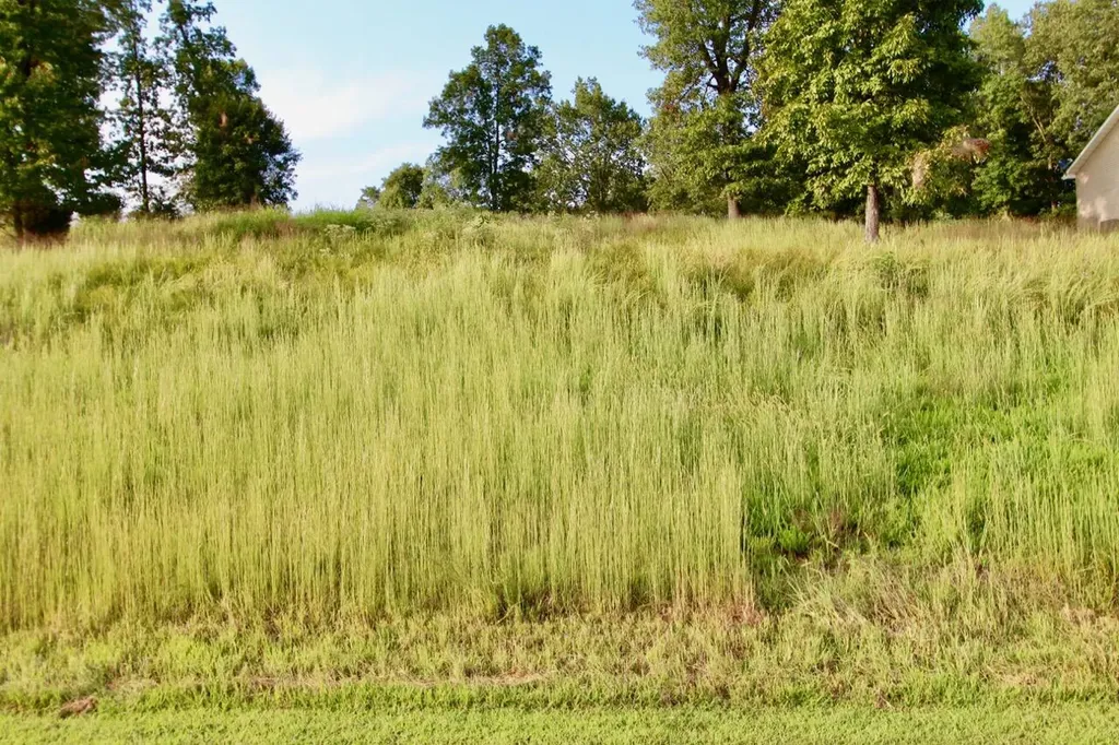 Lot 85 Kelsey Joe Lane Eddyville KY 42038