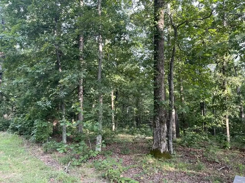 Lot 99 Woodduck Lane Murray KY 42071