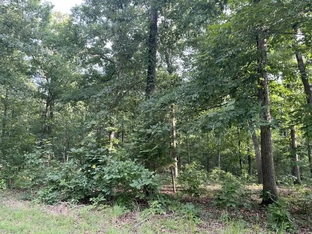 Lot 99 Woodduck Lane Murray KY 42071