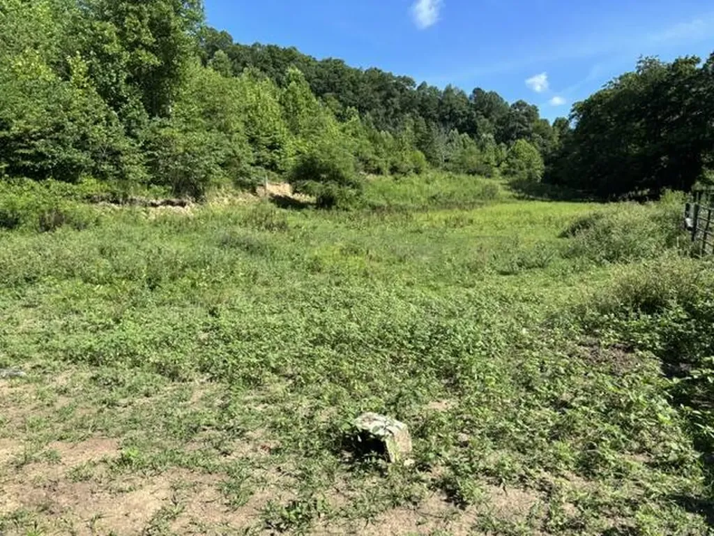 305 Pond Lick Road Annville KY 40402