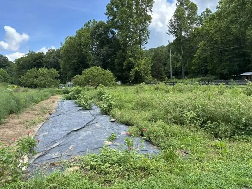 305 Pond Lick Road Annville KY 40402